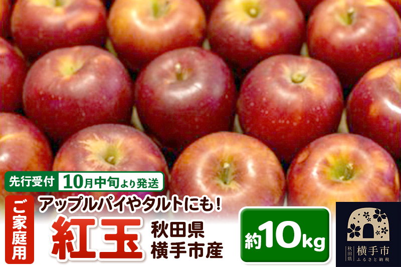 【先行受付】10月中旬より発送 アップルパイやタルトにも！横手市産りんご(紅玉) ご家庭用 約10kg