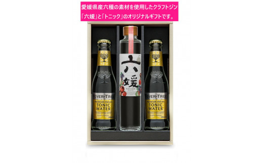 
水口酒造 道後ジン「六媛」・トニックセット（G6-200）
