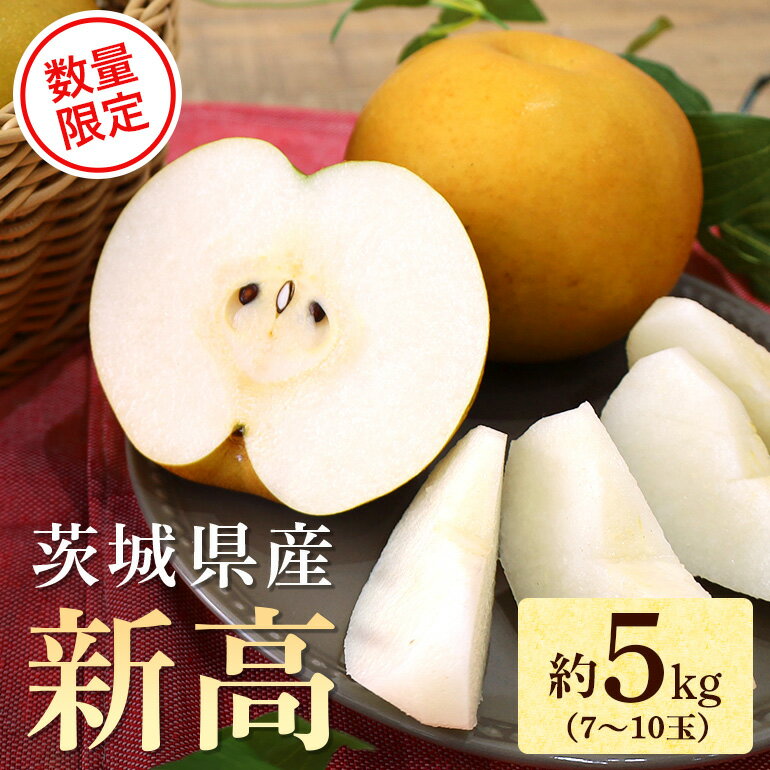 【ふるさと納税】数量限定 先行予約 2025年 梨（新高） 約5kg ナシ なし にいたか 和梨 日本梨 秋月梨 17-Y 【9月中旬〜下旬発送予定】