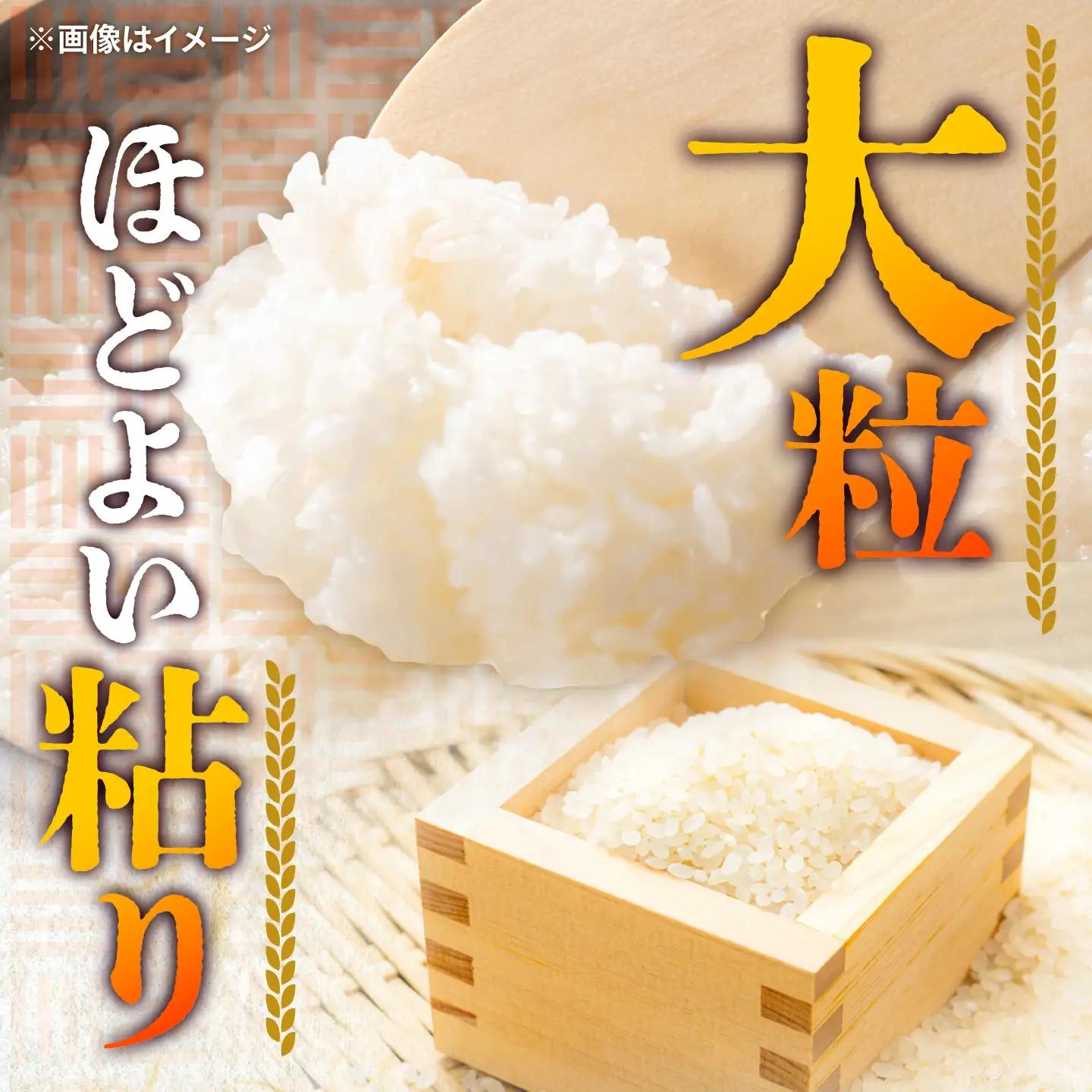 にじのきらめき 10kg[BFAG031]