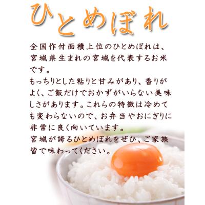 ふるさと納税 登米市 令和7年産　宮城県登米市産　食べ比べセット10kg(ひとめぼれ・ササニシキ 精米 各5kg) |  | 01
