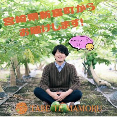 ふるさと納税 新富町 TABETEMAMORU〜宮崎生まれの南国酵素スーパーフードスムージー〜12本セット |  | 02