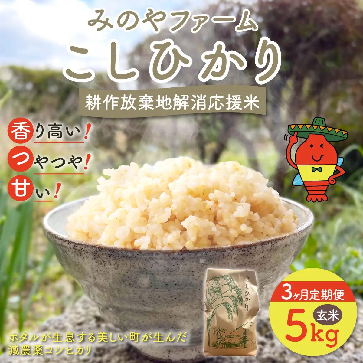 【3ヶ月定期便】みのやファーム耕作放棄地解消応援米　こしひかり　5ｋｇ（玄米）ONJF012