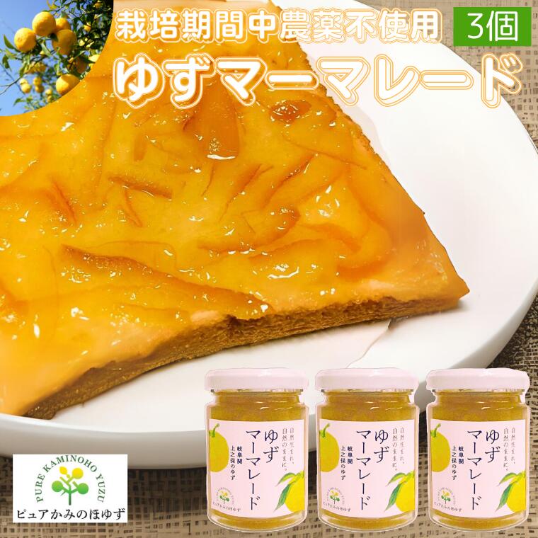 【ふるさと納税】「ゆずの里上之保」 ゆずマーマレード　3個 〜栽培期間中農薬不使用の上之保産柚子を使用 自家栽培 国産 柚子 ユズ フルーツ 果物 常温 くだもの ジャム 美味しい おいしい うまい 絶品 グルメ