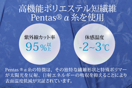 【レッド】なつめペンタス　晴雨兼用折りたたみ傘 [J-035007_03]