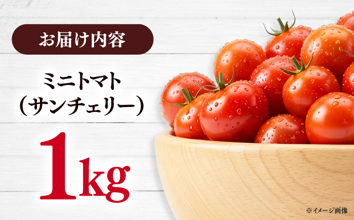 【甘みと酸味の黄金比】 ミニトマト 1kg 《対馬市》【みのり農園】 野菜 とまと [WDC001]