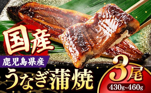 国産 うなぎ 蒲焼き（鹿児島県産） 3尾 (430〜460g) 【国産100％ 鰻 ウナギ 蒲焼 土用丑の日 丑の日 冷凍 魚介 海鮮 おかず お祝い ご褒美 贅沢 おすすめ 人気 花立山養鰻 福岡県 筑前町 HY002】