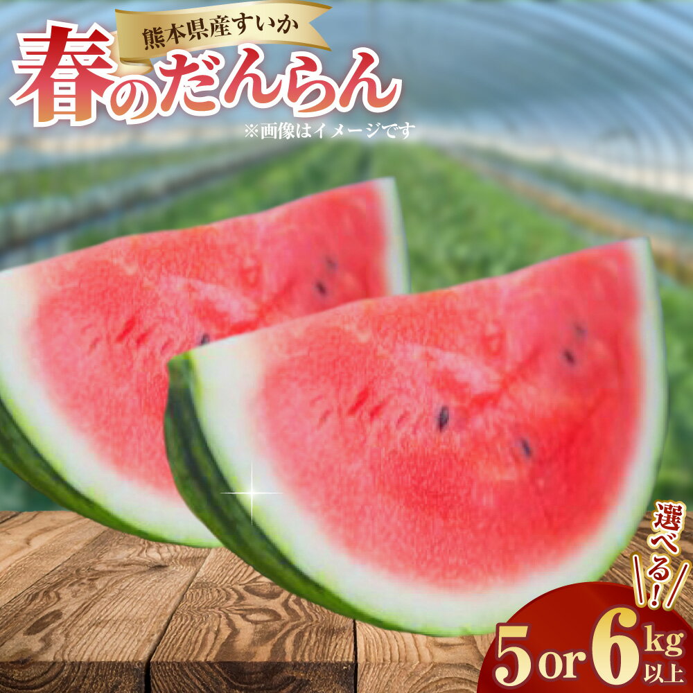 【ふるさと納税】＜選べる内容量＞熊本県産すいか 春のだんらん 5kg以上 / 6kg以上 早出し スイカ すいか 西瓜 くだもの 果物 果実 フルーツ 青果 デザート おやつ 熊本県産 国産 九州 熊本県 送料無料 【2026年3月下旬発送開始】
