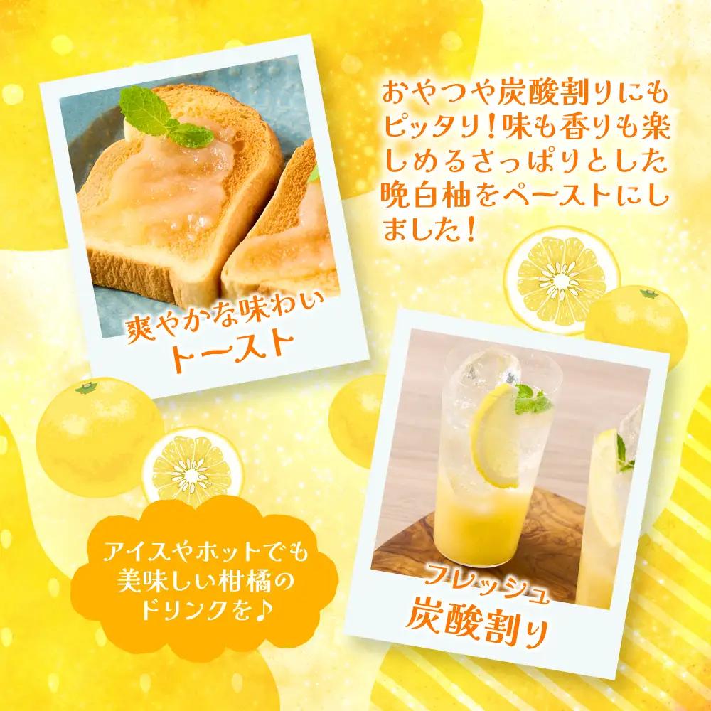 熊本県 八代市産 晩白柚 ペースト「マキシト」『お手軽セット』（合計740g） ばんぺいゆ 柑橘 手作り ペースト ジャム フルーツソース ジュレ ピューレ 炭酸割り アイス ヨーグルト トースト パ
