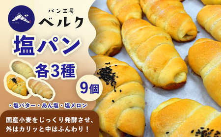 塩パン全種食べ比べ 9個セット / 塩パン あん塩 メロンパン 食べ比べ 惣菜パン パンセット 冷凍パン 朝食 おやつ ぱん 菓子パン ベーカリー / 稲沢市 / パン工房ベルク [BMAF011]