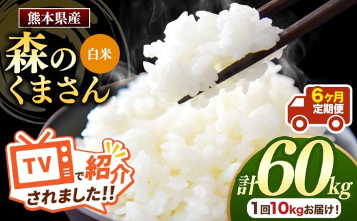 【定期便6回】R7年産 熊本県産 白米 森のくまさん 選べる 内容量 10kg | お米 精米 白米 お米 10キロ お米 送料無料 お米 熊本 くまもと お米  熊本県  国産 KOKUSAN 国産米 熊本県 玉名市