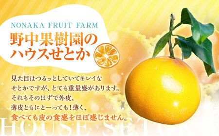 【期間限定！～12月31日まで寄附額改定中】ハウスせとか 3kg 8～15玉 化粧箱セット 【2026年2月下旬-3月下旬迄発送予定】 ／ フルーツ 果物 くだもの ミカン みかん 野中果樹園 オンラ