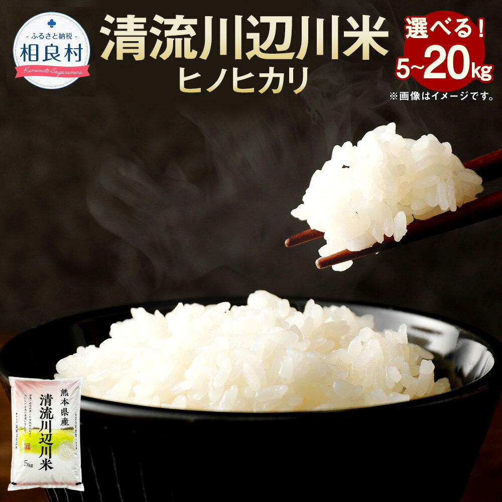 【ふるさと納税】【令和8年産】相良村産 清流川辺川米 ヒノヒカリ 1袋約5kg 選べる内容量 ( 約5kg～計約20kg ) 1袋～4袋 お米 米 こめ コメ 白米 精米 単一原料米 ごはん ご飯 国産 熊本県産 相良村 送料無料 【2026年10月下旬～2027年10月下旬迄発送予定】