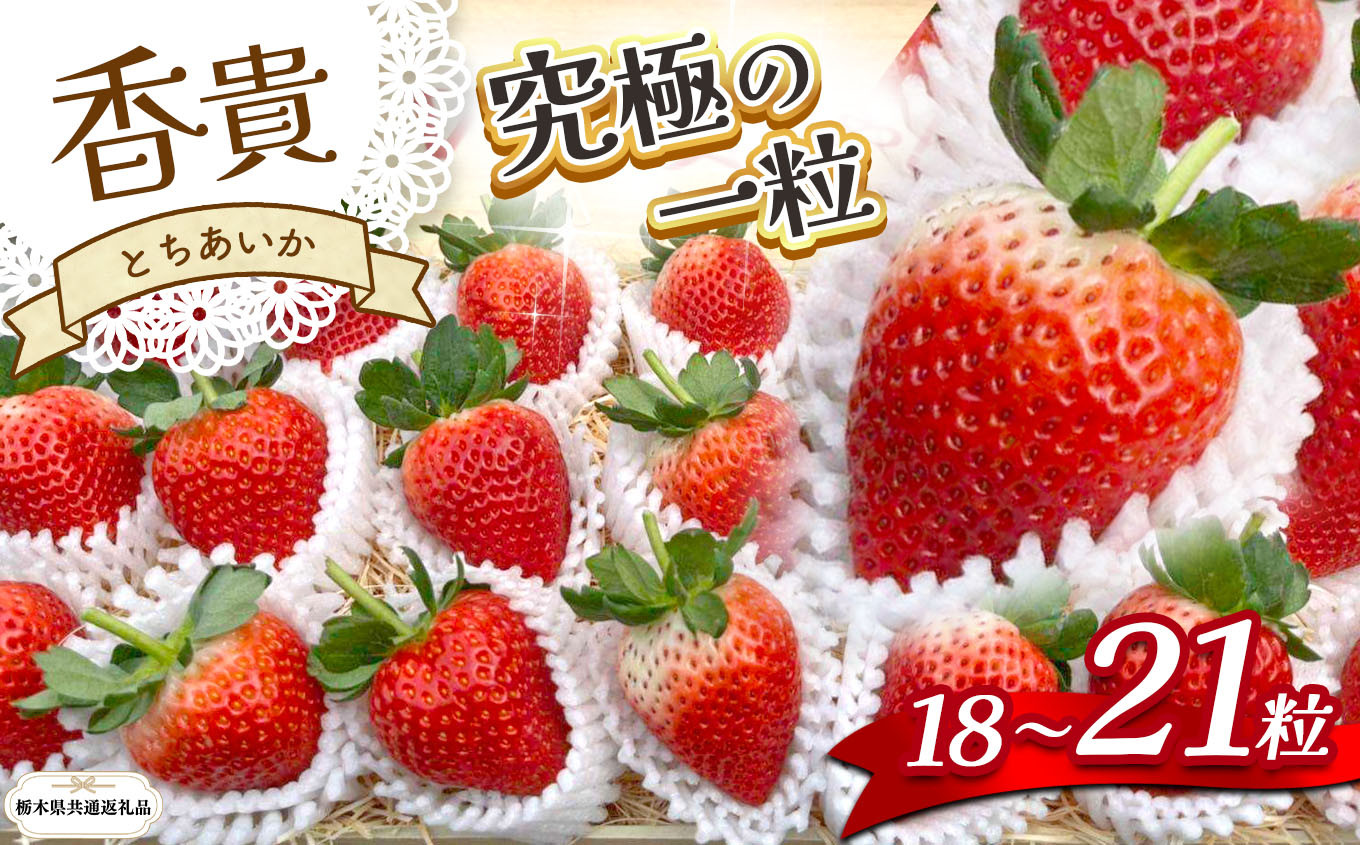 
                  【栃木県共通返礼品】【1~3月発送分】【先行予約】とちあいか 「香貴」 18～21粒 | いちご とちあいか 香貴 朝採れ 大粒 新鮮 甘い  数量 限定 美味しい 果物 共通返礼品 フルーツ デザート 栃木県 那珂川町 送料無料
                
