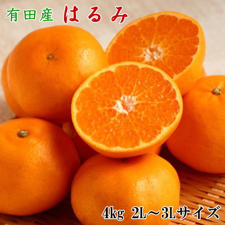 【ふるさと納税】 【厳選・濃厚】紀州有田産のはるみ 4kg(2L〜3Lサイズおまかせ)※2026年1月下旬～2026年2月中旬頃に順次発送(お届け日指定不可)