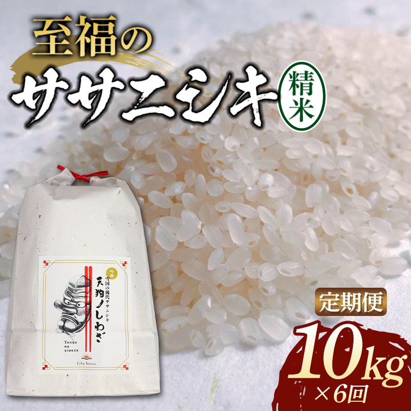 【令和8年産米先行予約】 (全6回定期便) 至福のササニシキ精米 5kg×2袋 米 お米 おこめ 山形県 新庄市 F3S-2873
