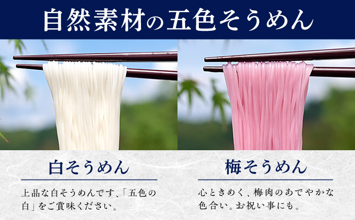 そうめん 手延べ五色そうめん化粧箱入 3kg(50g×60束) / もち麦 みかん 梅 抹茶 練り込み色麺 素麺 カラフル 色付き 小分け 常温 長期保存 詰合せ ランチ 夜食 冷 温 / 愛媛県砥部