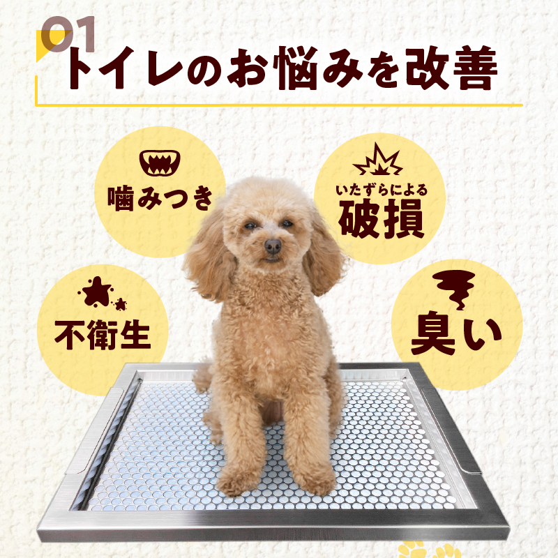 【ふるさと納税】トイレトレイ 犬用 ステンレス製 段付きタイプ レギュラーサイズ お手入れ簡単 衛生的 耐久性抜群 いたずら防止 トイレトレーニング しつけ グッズ 掃除しやすい 愛知 小牧 送料無料