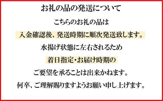 おまかせ無添加ひものセット（お任せ5種で10点以上）ギフト 干物 おつまみ 贈答 無添加 健康 