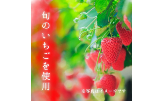 メルカドレグメス　フリーズドライフルーツ　いちご ／ フリーズドライフルーツ フリーズドライ フルーツ 果物 くだもの いちご イチゴ 苺 自家製 3000円