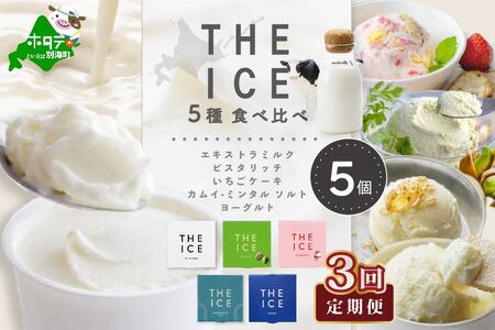 【毎月3回定期便】【THE ICE】5種食べ比べ 5個セット【CJM030206】