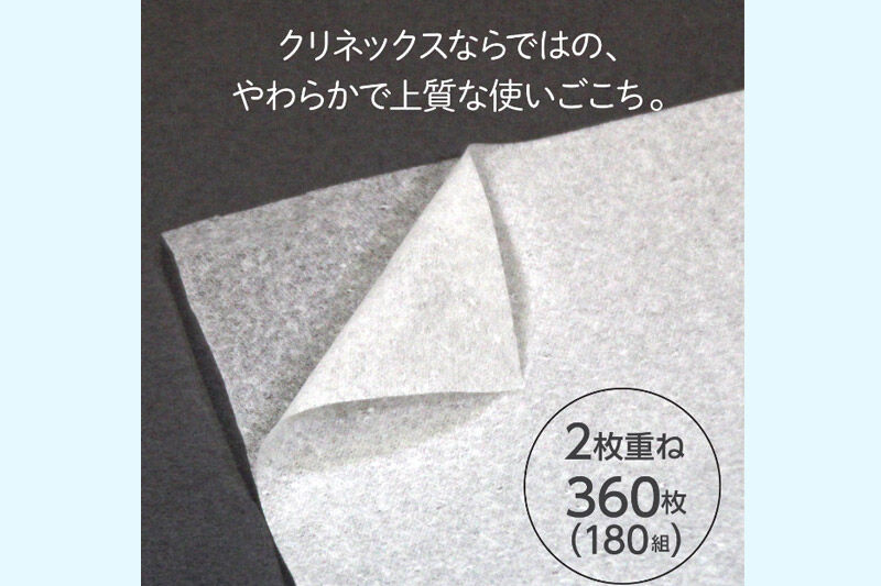《6ヶ月ごとに2回お届け》定期便 ティッシュ クリネックス ティシュー 5箱×12パック 最短翌日発送 [クリネックス ティッシュ ボックスティッシュ 日本製紙クレシア 定期便]