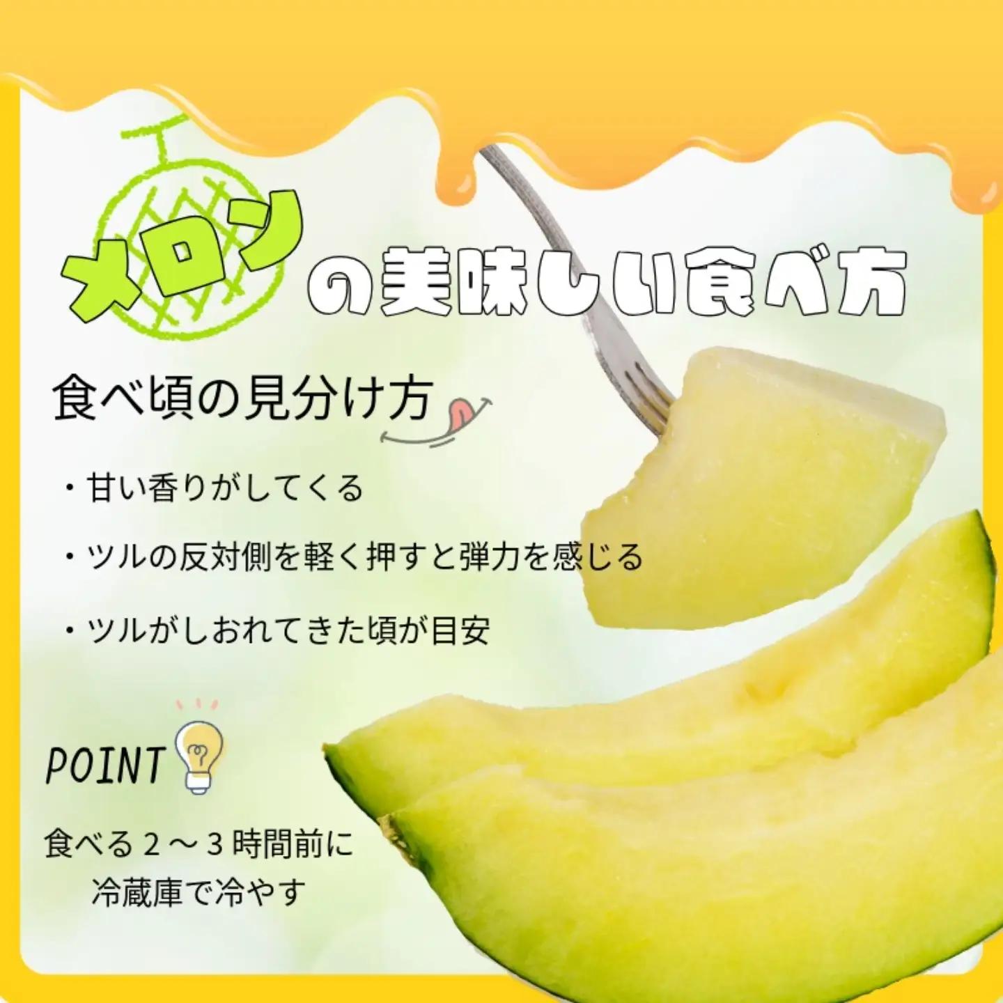 アムスメロン 2玉 メロン 【6月下旬～7月中旬発送】