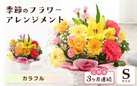 定期便 ≪3ヶ月連続お届け≫ 季節のフラワーアレンジメント S ( カラフル) 花束 生花 プレゼント [B-20714_03]