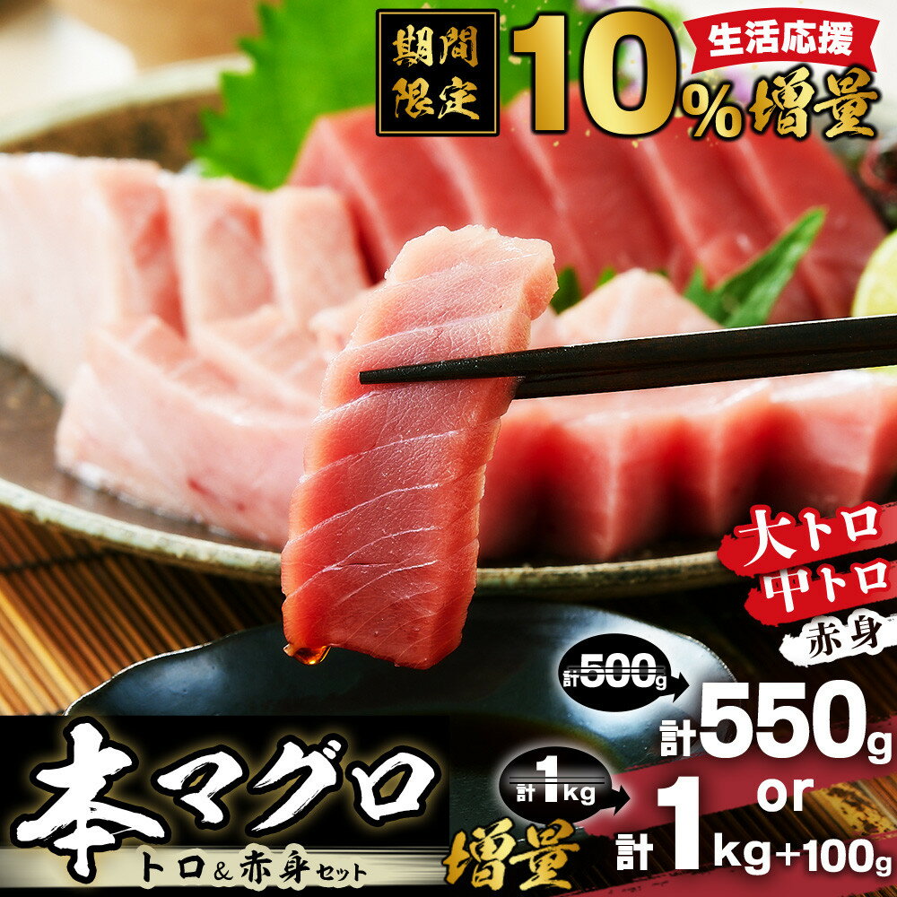 【ふるさと納税】【期間限定】本マグロ トロ+赤身セット 500g or 1kg 大トロ 中トロ 鮪 刺身 寿司　生活応援 | 本マグロ 海鮮 魚介 大トロ 中トロ 赤身 人気 おすすめ グルメ 刺身 寿司 お正月 年末年始 お取り寄せ 送料無料 ふるさと納税