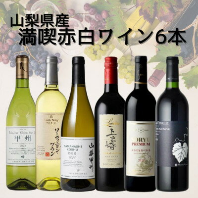 【ふるさと納税】山梨県産ワインおすすめ赤白6本セット(4)011【配送不可地域：離島】【1606820】