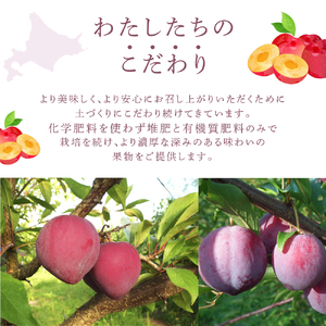 冷凍プラム 500g 冷凍 プラム 果物 くだもの フルーツ 旬の果物 旬のフルーツ 大橋さくらんぼ園 果物類 フルーツ デザート 完熟 急速冷凍 新鮮 美味しい 人気 冷凍配送 北海道 芦別市