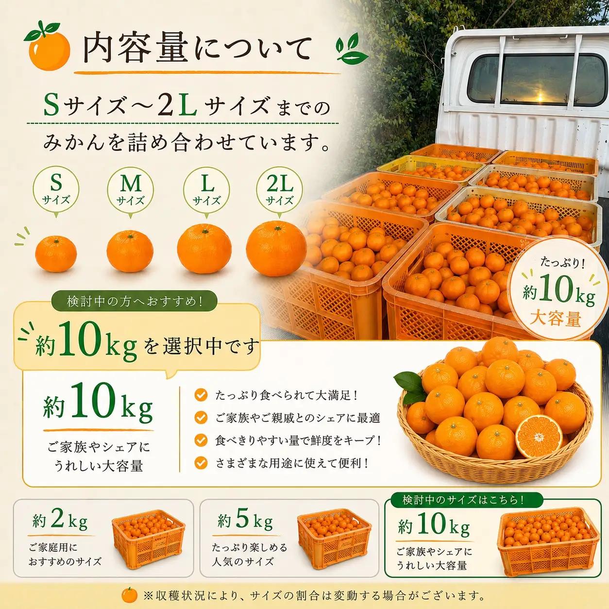  先行予約 年内発送 ふくちゃんちのみかん サイズミックス 約10kg  令和8年12月初旬～順次発送