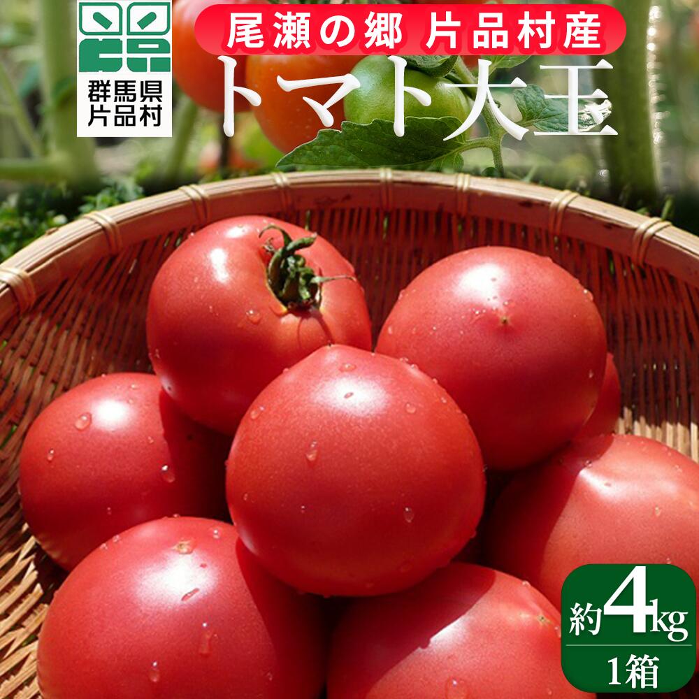 【ふるさと納税】 尾瀬の郷 片品村産トマト (大玉) 1箱 トマト とまと 大玉 野菜 群馬県 片品村
