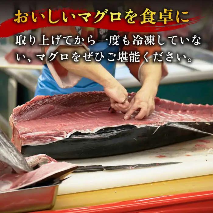 【全3回定期便】五島列島産養殖生本かみマグロ 赤身 300g [RBP023] 本マグロ 本まぐろ 本鮪 本マグロ 本まぐろ 本鮪 本マグロ 本まぐろ 本鮪 本マグロ 本まぐろ 本鮪九州 長崎
