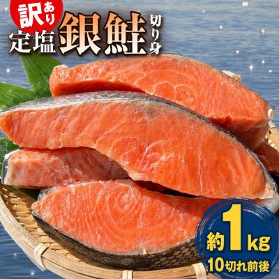 ふるさと納税 石巻市 《訳あり》  定塩銀鮭 切り身 約1kg ( 10切れ 前後 ) 鮭 銀鮭 切身 冷凍 さけ 甘塩