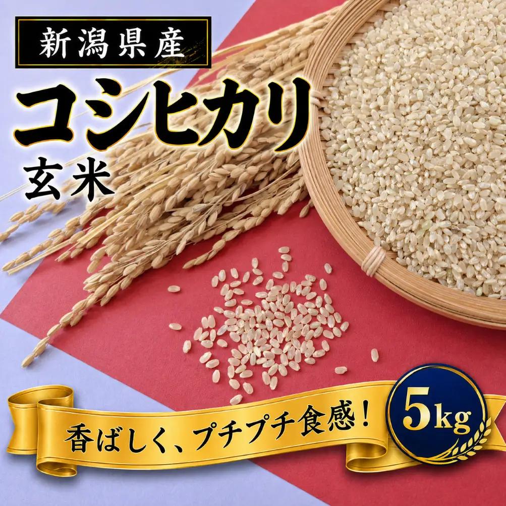 令和8年産 新潟県見附市産 コシヒカリ 玄米 5kg