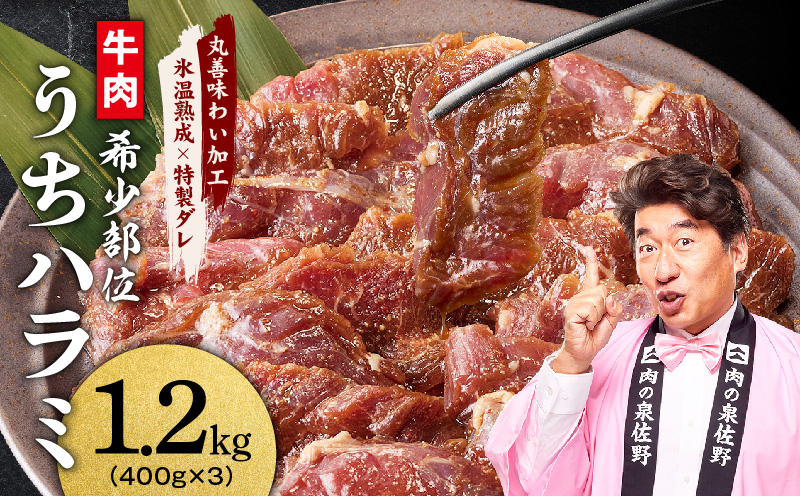 【希少部位】牛肉 うちハラミ 1.2kg 小分け 400g×3P【スピード発送 氷温熟成×特製ダレ 味付き 牛肉 訳あり 不揃い 焼肉 BBQ 野菜炒め 大阪 泉佐野 大阪府 泉佐野市】