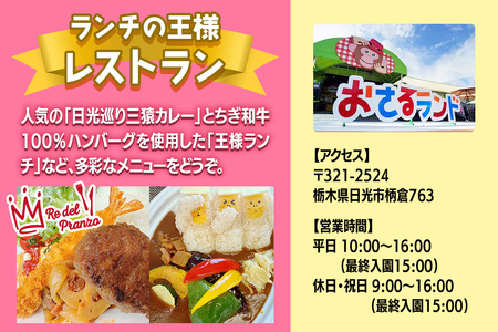 日光おさるランド＆アニタウン (日光さる軍団) ショープラン ペア入場券 [0905]