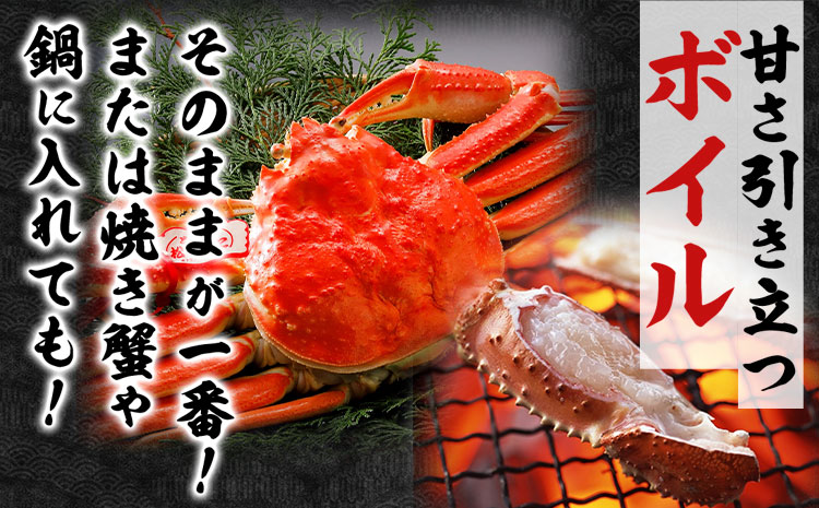 【ふるさと納税】カニ 松葉ガニ 訳あり 400g ボイル 2杯《12月・1月発送》 SOO合同会社 鳥取県 八頭町 送料無料  蟹 かに 姿 鍋 ズワイガニ  ズワイ蟹 ボイル 松葉ガニ 訳アリ