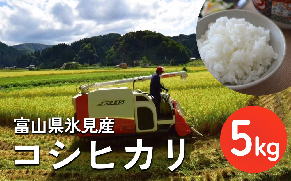 
令和6年産 富山県氷見産 コシヒカリ 5kg 種類が選べる（玄米 3分づき 5分づき 白米 無洗米） | お米 選べる 精米 玄米 分づき米 無洗米 富山 氷見 米 こしひかり 数量限定 農家直送
