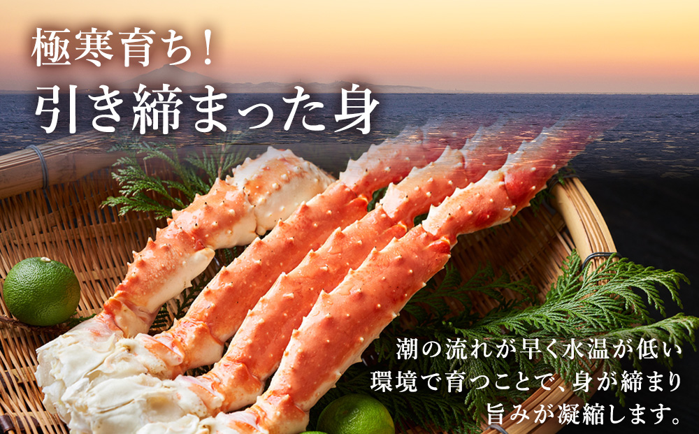 自社ボイル製造ボイルタラバガニ足 5L約1kg