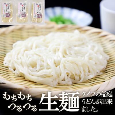 ふるさと納税 湯沢市 稲庭古来”生”うどん　600g[B14030]