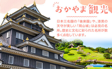 【定期便 3回】岡山銘菓 定期便（大手まんぢゅう・廣榮堂 元祖きびだんご・卵娘庵のカステラ）