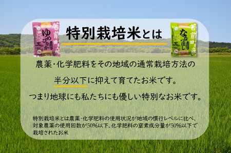 令和7年産 特別栽培米 北海道とままえ産 ななつぼし 計5kg（1kg×5） 米 お米 北海道産 北海道米 特Aランク 国産 白米 コメ 北海道 苫前町 とままえ rum01