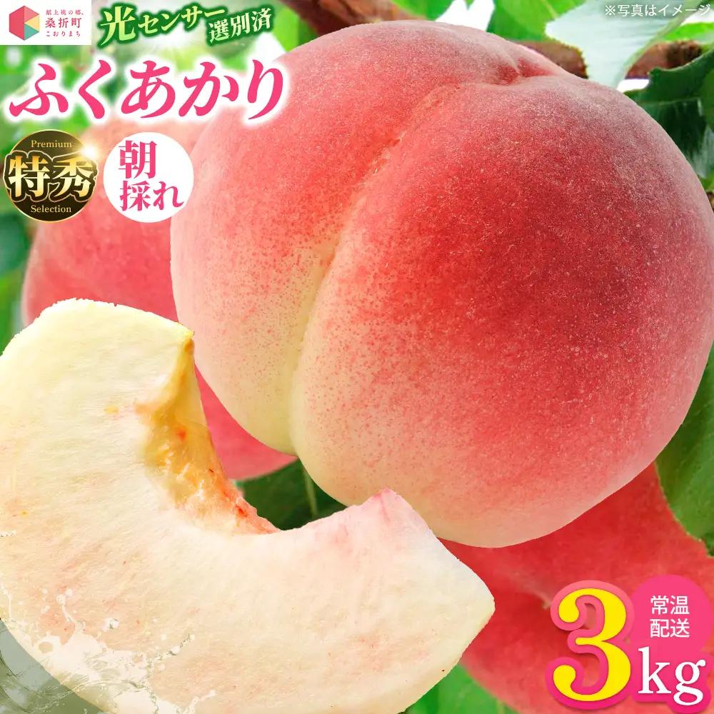 もも【ふくあかり・2027年産先行予約】特秀　3kg　桑折町産　JAふくしま未来　桃 ／ もも モモ 果物 フルーツ 旬 甘い 甘み ジューシー 果肉 果汁 新鮮 フレッシュ デザート おいしい 産地直送 桑折 こおり こおりまち 福島県 特産品 【07301-0169】