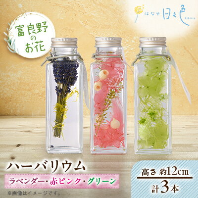 【ふるさと納税】【ギフト】富良野のお花 ハーバリウム 3本セット(ラベンダー、赤ピンク・グリーン)【配送不可地域：沖縄県】【1552142】