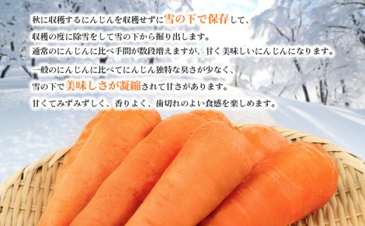 【3月～4月発送予定】（生産者直送）玉手農場産雪下ニンジン5kg