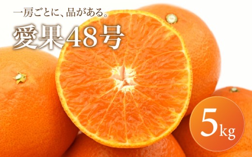 国産 あいか48号 家庭用 5kg 【2027年2月下旬頃から順次発送】 | 日本 みかん 愛果48号 あいか  蜜柑 アイカ 柑橘 果物 愛媛のみかん くだもの 贈答 フルーツ ご家庭用 数量限定 愛媛県産 ミカン 愛媛県 松山市