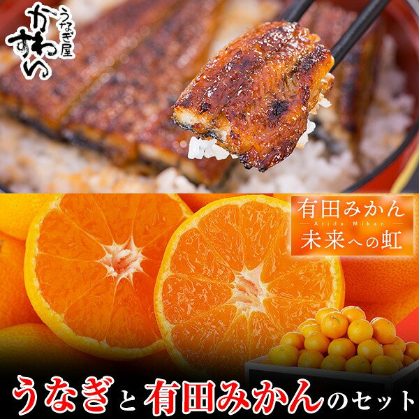 【ふるさと納税】【コラボ】国産うなぎ蒲焼き大サイズ2本セット＆有田みかん「未来への虹」（5kg） ＼うなぎの肝吸いの特典付き／ミカン 蜜柑 和歌山 小玉 大玉 フルーツ 果物 柑橘 贈答用 家庭用 お取り寄せ 人気 うなぎ ウナギ ギフト かわすい 川口水産 海産物