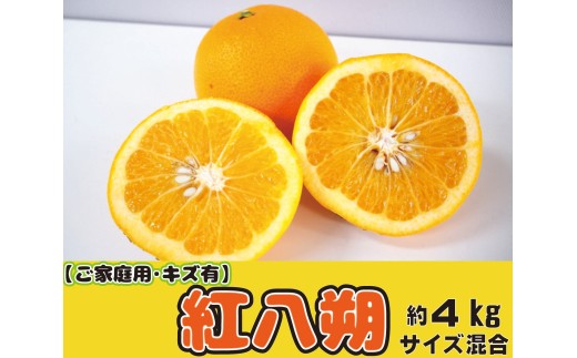【家庭用】甘酸っぱさ、はじける。かつらぎの紅八朔 約４ｋｇ【2026年2月中旬～2026年2月下旬お届け予定】/はっさく 柑橘 フルーツ 果物 美味しい おいしい 和歌山県 送料無料【A-frks189】